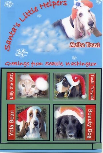 Arooooooing for Melba Toast. You left us too soon, sweet houndette