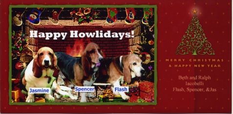 The Iacobeli Hounds