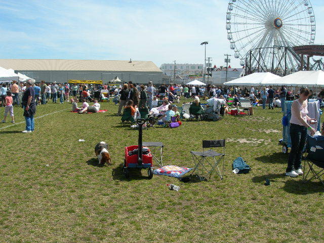 The Off-lead picnic