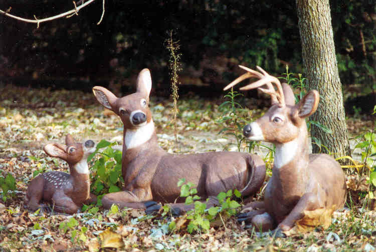 Family of Deer