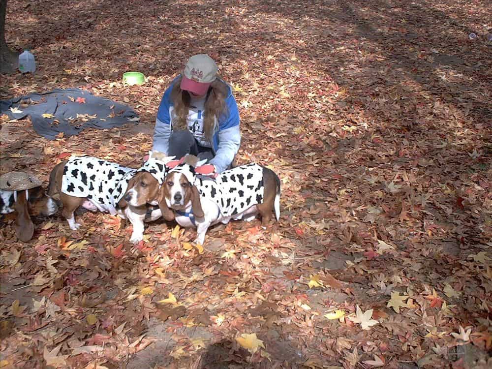 Jacques and Humphrey settle down to let their picture be taken.