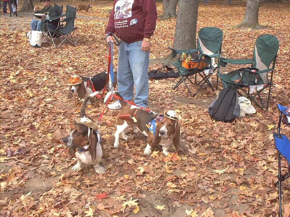 Meet the Grove cowboys, Buddy and J.B.  The cowboys took 2nd place in the costume competition. Buttons is in the background looking pretty with her Howloween hat.