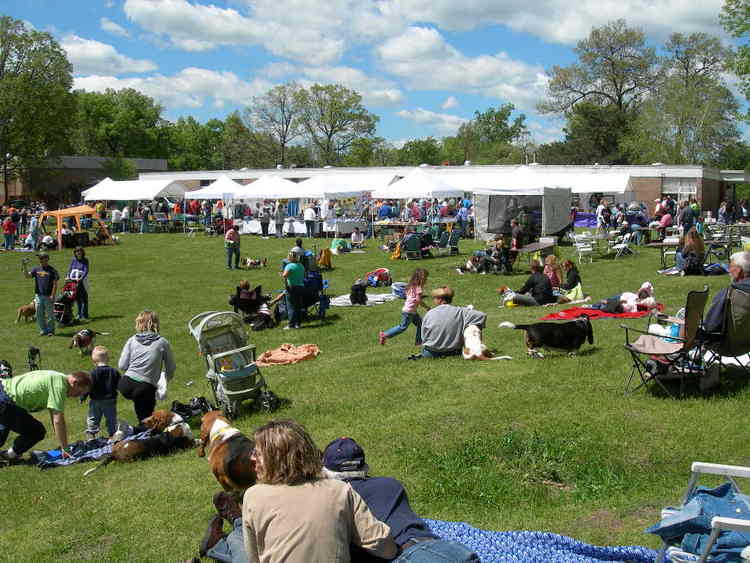 The Off-lead picnic